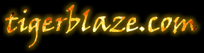 tigerblaze.com